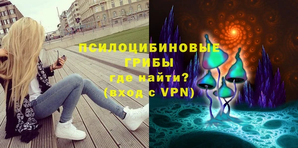 дурь Белоозёрский
