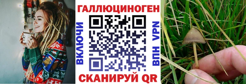 ссылка на мегу сайт  закладки  Богданович  Псилоцибиновые грибы мухоморы 