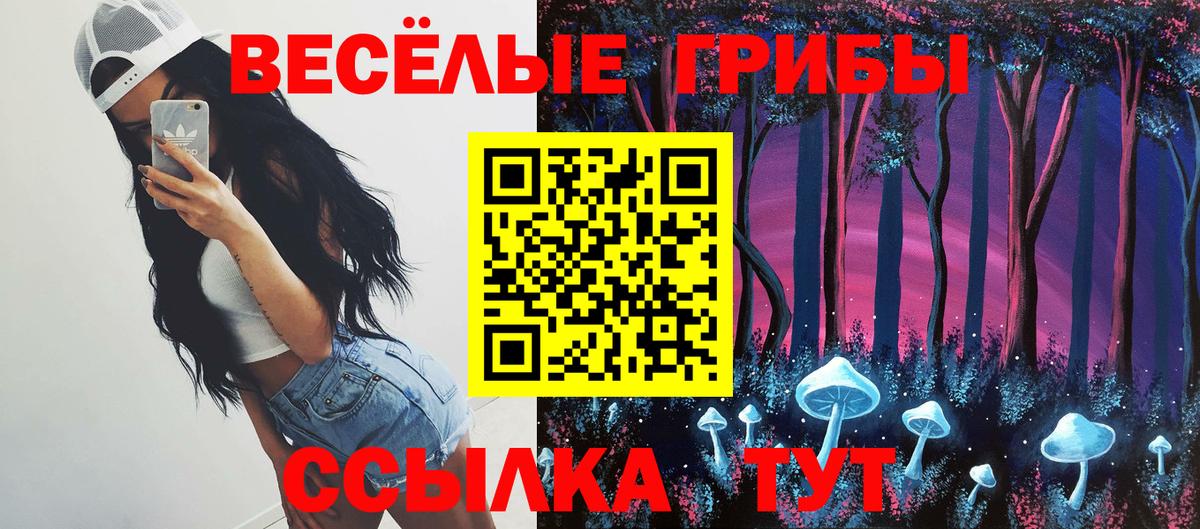 Псилоцибиновые грибы Psilocybe Богданович